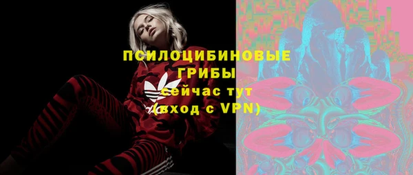 стафф Богородицк