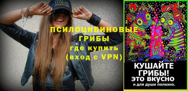 дживик Богданович