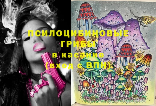 дживик Богданович