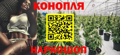 гидра Ставрополь