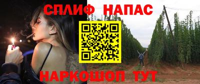 гидра Ставрополь