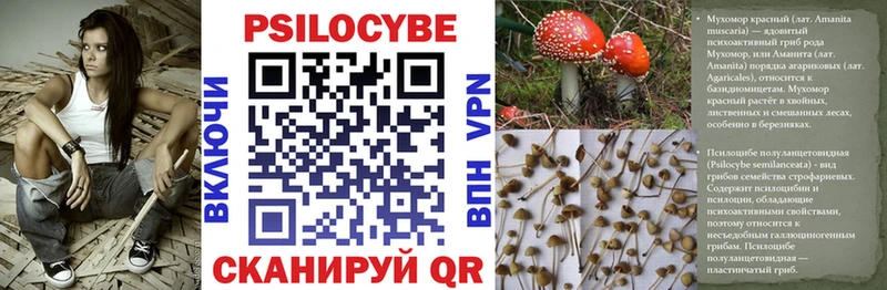 Псилоцибиновые грибы Magic Shrooms  Северск 