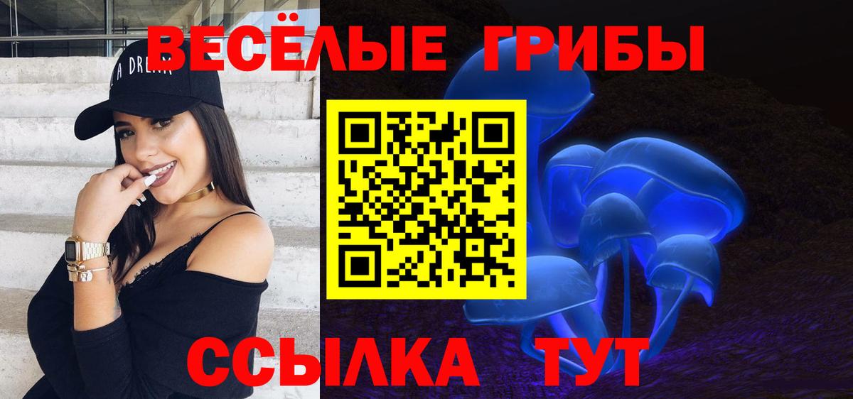 Северск  Псилоцибиновые грибы MAGIC MUSHROOMS  купить наркотик  Вход с VPN  Галлюциногенные грибы ЛСД 