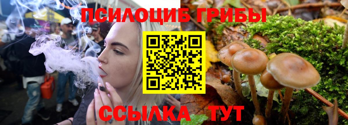 Псилоцибиновые грибы мухоморы Северск