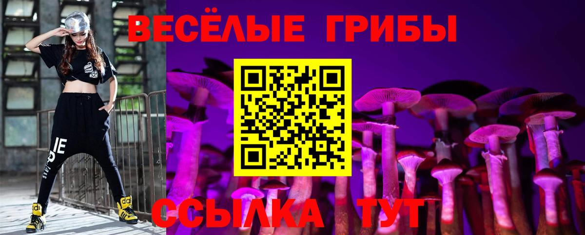 Экстази  Конопля  Мефедрон кристаллы  Северск  Гашиш  АМФ   Вход с VPN 