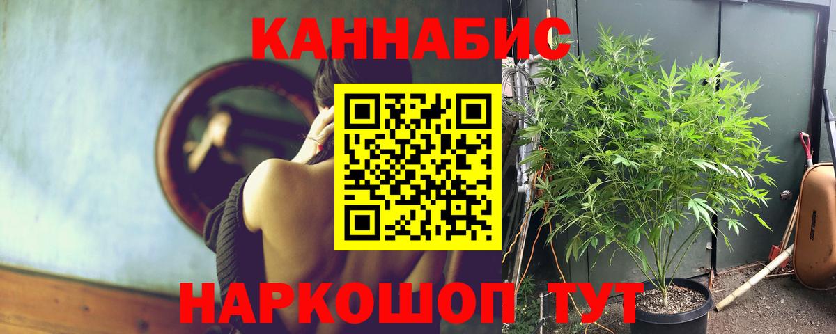 Канабис индика Северск